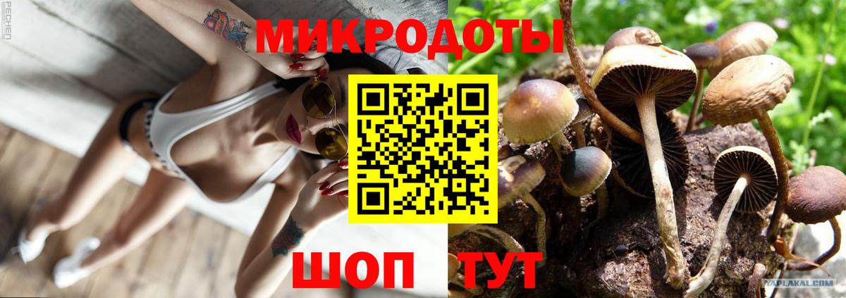 Псилоцибиновые грибы ЛСД Каспийск