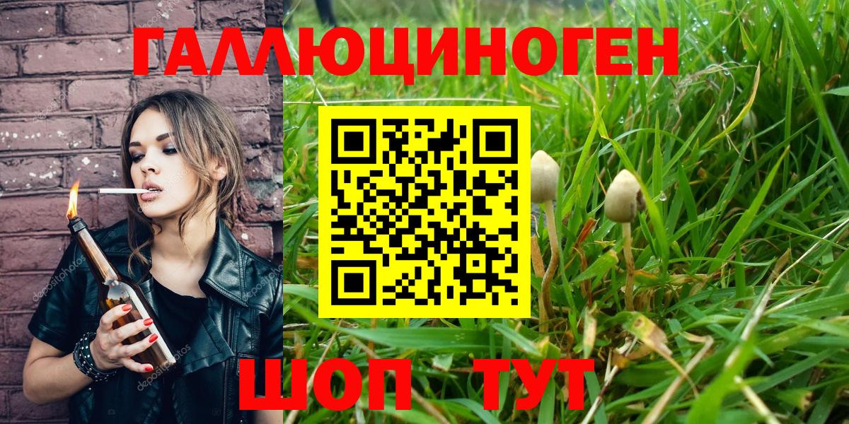 Псилоцибиновые грибы Psilocybe  Вход с VPN  Каспийск 